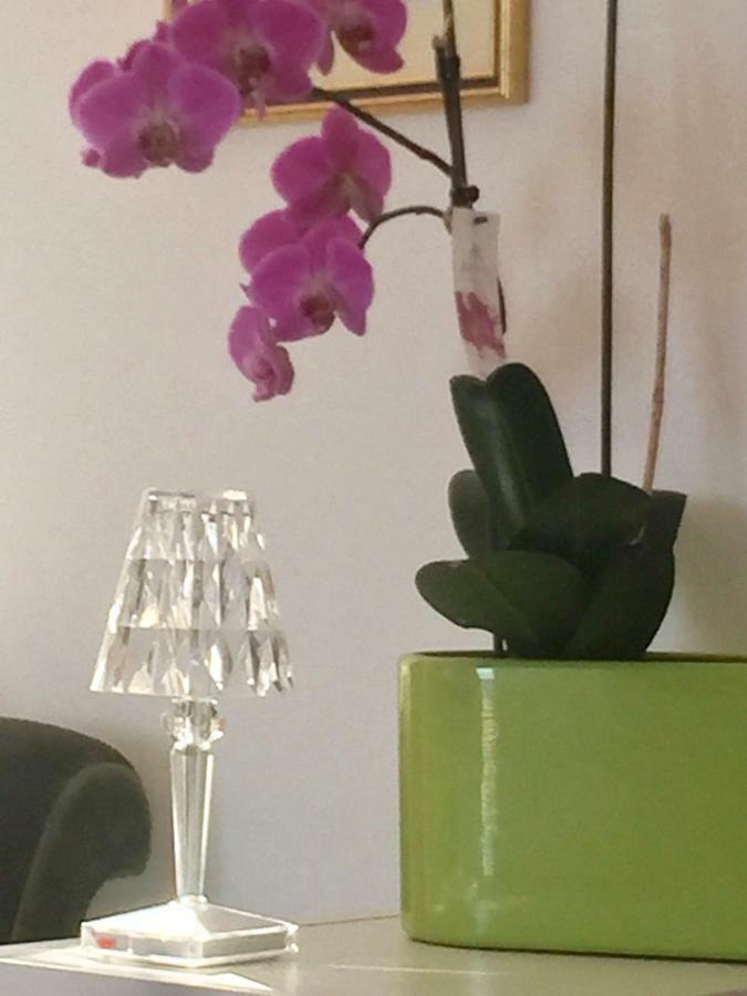 Apartamento Rooftop Flat In